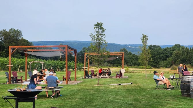 Barnstormer Winery: A Must-Visit Finger Lakes Wine Destination Near Watkins Glen