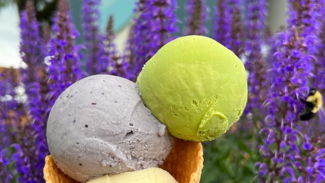 The Spotted Duck Creamery: Best Frozen Custard Near Keuka Lake & Penn Yan