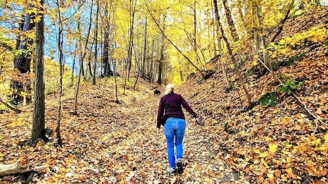 Exploring Nature's Wonders: Hidden Hiking Trails Near North Forest FLX