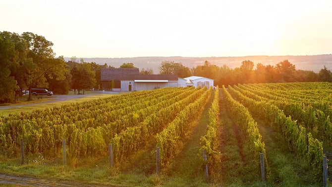 Hermann J. Wiemer Vineyard: World-Class Wine Near North Forest FLX