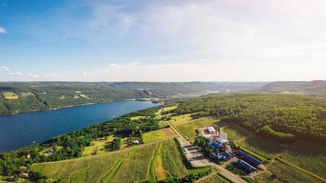The Ultimate Guide to Bully Hill Vineyards: Discovering Hammondsport, NY's Wine and Cultural Gem