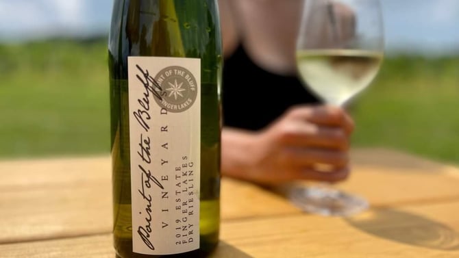 Explore Point of the Bluff Vineyards: The Perfect Addition to Your North Forest Overnight Stay in Hammondsport, NY