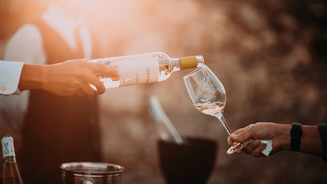 Discover Hammondsport's Best Wineries: Your Ultimate Guide to Local Wine Tastings and Vineyard Tours
