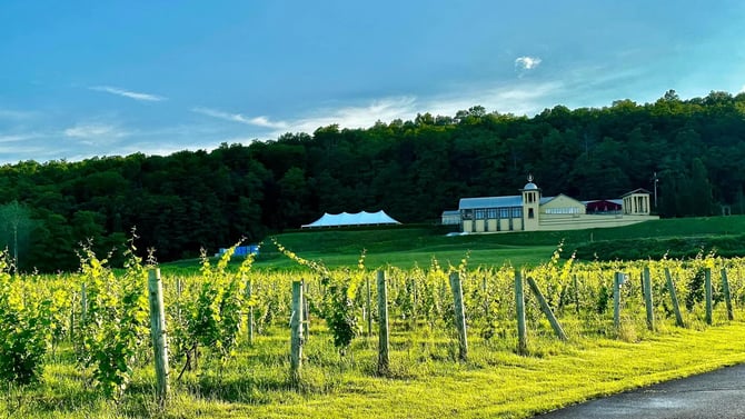 Unveiling the Magic of Heron Hill Winery: A Day at Keuka Lake's Wine Paradise