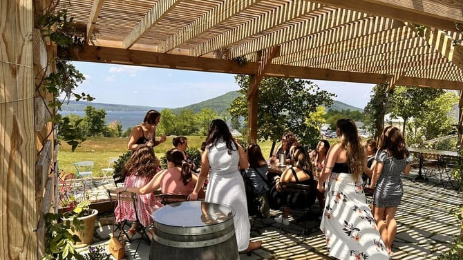 Uncover the Best of Finger Lakes Wine at Domaine LeSeurre Winery, Hammondsport, NY