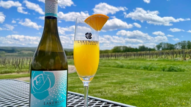 Discover Lakewood Vineyards: A Must-Visit Finger Lakes Winery Near North Forest FLX