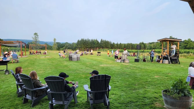 FLXMusic247: Your Guide to Live Music in the Finger Lakes