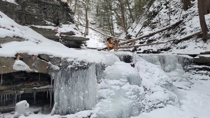 Conklin Gully: A Hiker's Paradise in the Finger Lakees