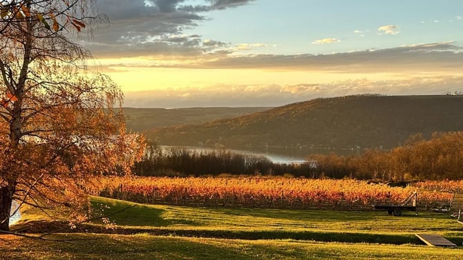 Unforgettable Experience at McGregor Vineyard, Keuka Lake, NY: Where Wine, History, and Nature Meet