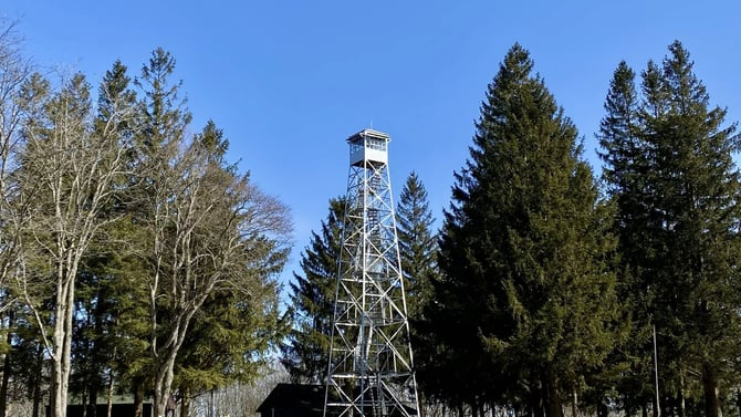 Sugar Hill State Forest Trail: Scenic Hiking Near Keuka Lake